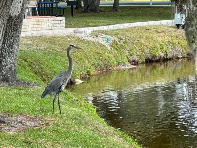 15777 Bolesta Rd. #10 a Clearwater, FL Mobile or Manufactured Home for Sale